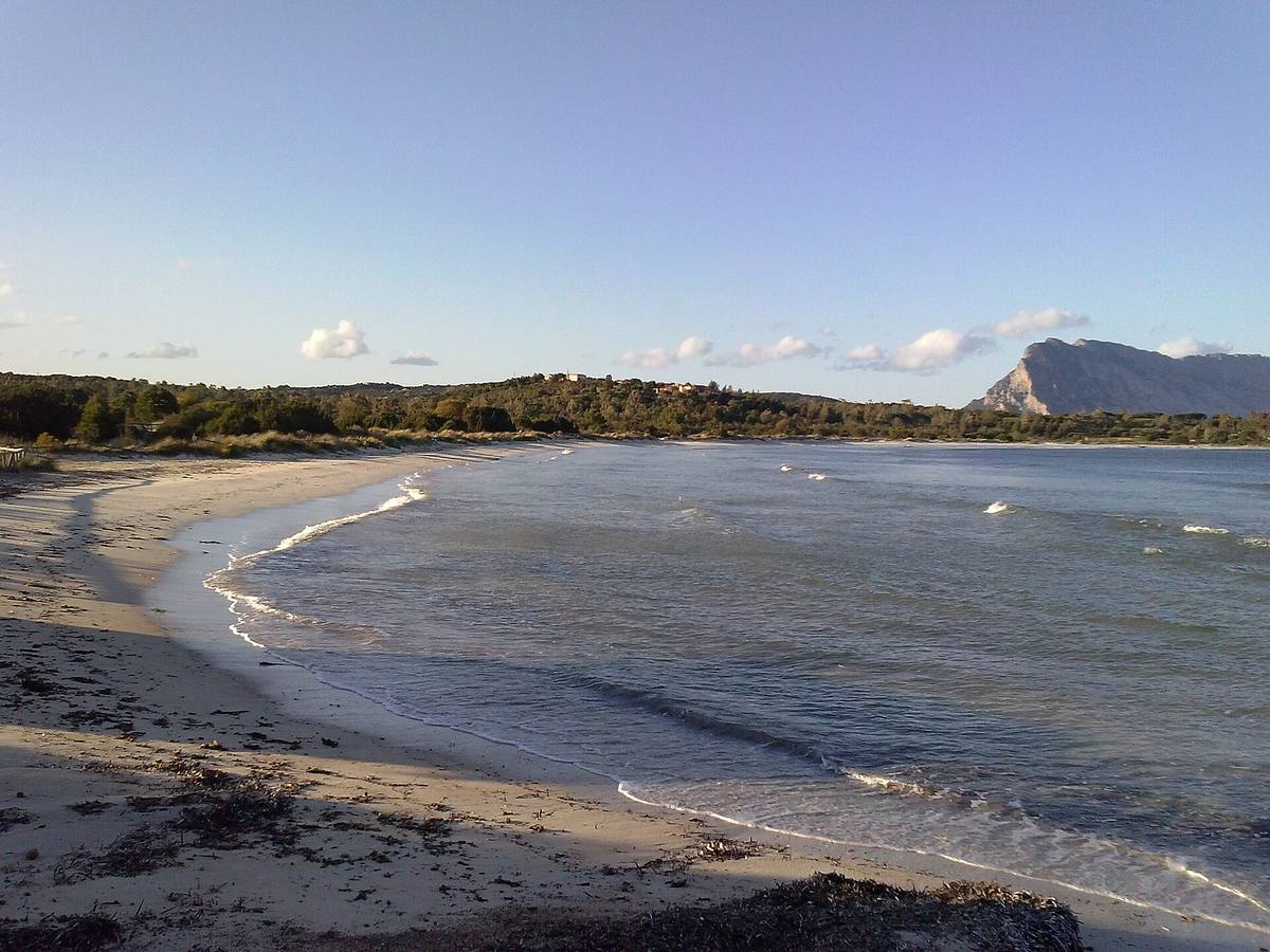 Spiaggia con sabbia bianca, acqua turchese e vegetazione mediterranea